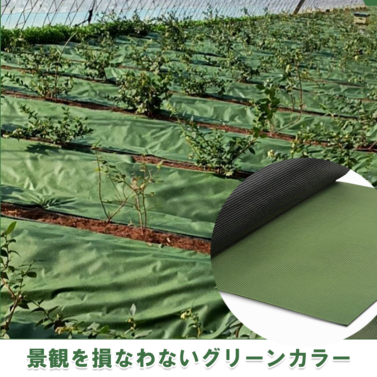 景観を損なわないグリーンカラー